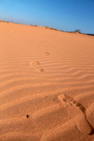 Red Desert